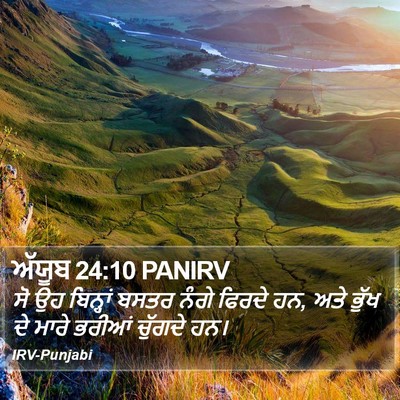 ਅੱਯੂਬ 24:10 PANIRV Bible Verse Image