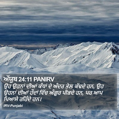 ਅੱਯੂਬ 24:11 PANIRV Bible Verse Image