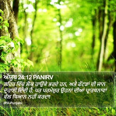 ਅੱਯੂਬ 24:12 PANIRV Bible Verse Image
