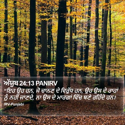 ਅੱਯੂਬ 24:13 PANIRV Bible Verse Image