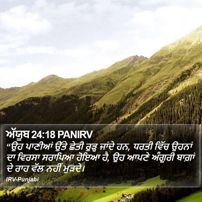 ਅੱਯੂਬ 24:18 PANIRV Bible Verse Image