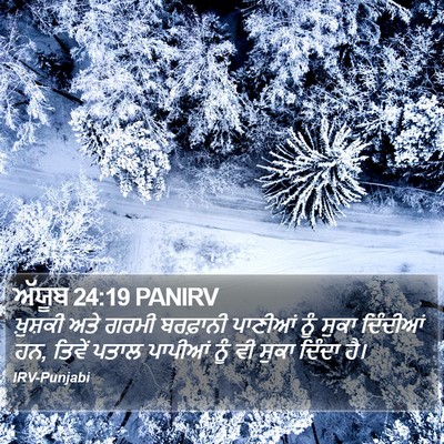 ਅੱਯੂਬ 24:19 PANIRV Bible Verse Image