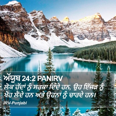 ਅੱਯੂਬ 24:2 PANIRV Bible Verse Image