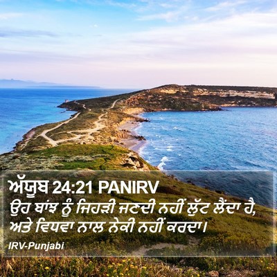 ਅੱਯੂਬ 24:21 PANIRV Bible Verse Image