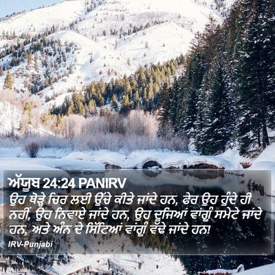ਅੱਯੂਬ 24:24 PANIRV Bible Verse Image