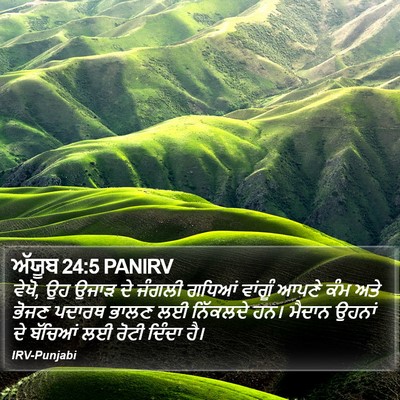 ਅੱਯੂਬ 24:5 PANIRV Bible Verse Image