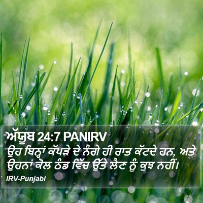 ਅੱਯੂਬ 24:7 PANIRV Bible Verse Image