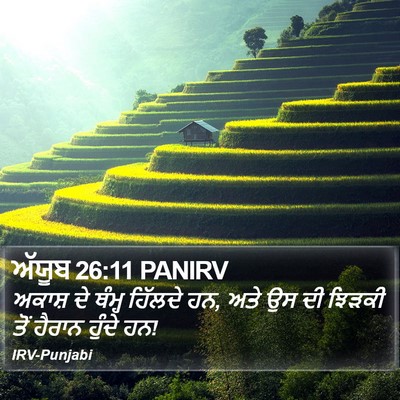 ਅੱਯੂਬ 26:11 PANIRV Bible Verse Image