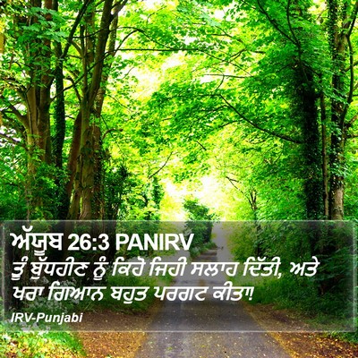ਅੱਯੂਬ 26:3 PANIRV Bible Verse Image