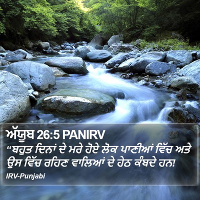 ਅੱਯੂਬ 26:5 PANIRV Bible Verse Image