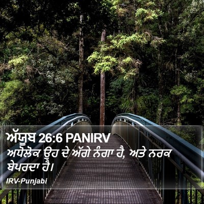 ਅੱਯੂਬ 26:6 PANIRV Bible Verse Image