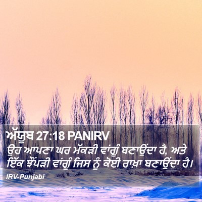 ਅੱਯੂਬ 27:18 PANIRV Bible Verse Image