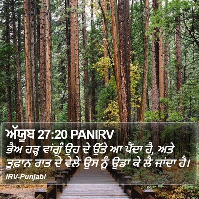 ਅੱਯੂਬ 27:20 PANIRV Bible Verse Image