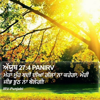 ਅੱਯੂਬ 27:4 PANIRV Bible Verse Image