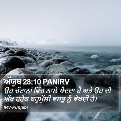 ਅੱਯੂਬ 28:10 PANIRV Bible Verse Image