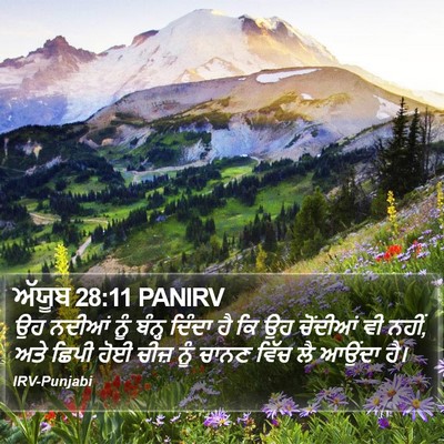 ਅੱਯੂਬ 28:11 PANIRV Bible Verse Image