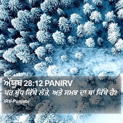 ਅੱਯੂਬ 28:12 PANIRV Bible Verse Image