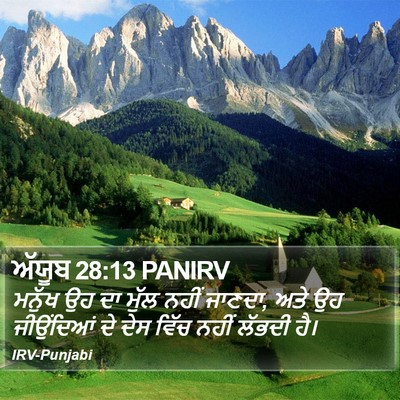 ਅੱਯੂਬ 28:13 PANIRV Bible Verse Image