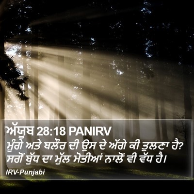 ਅੱਯੂਬ 28:18 PANIRV Bible Verse Image