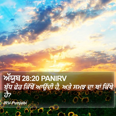 ਅੱਯੂਬ 28:20 PANIRV Bible Verse Image