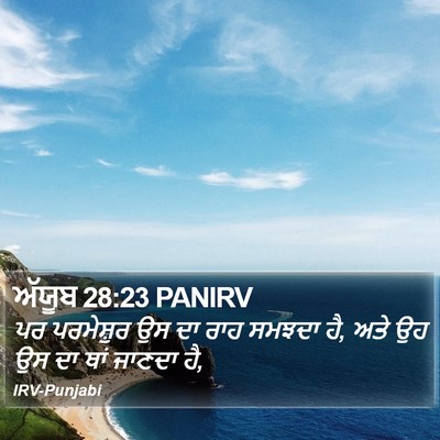 ਅੱਯੂਬ 28:23 PANIRV Bible Verse Image