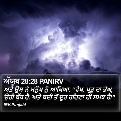 ਅੱਯੂਬ 28:28 PANIRV Bible Verse Image