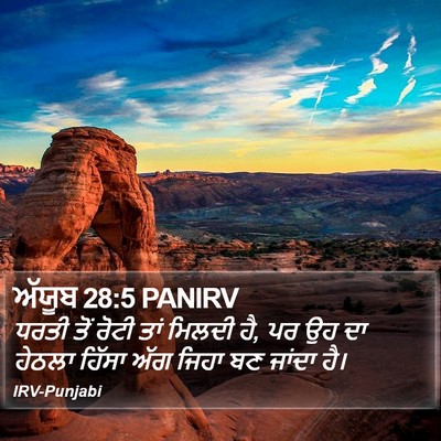 ਅੱਯੂਬ 28:5 PANIRV Bible Verse Image