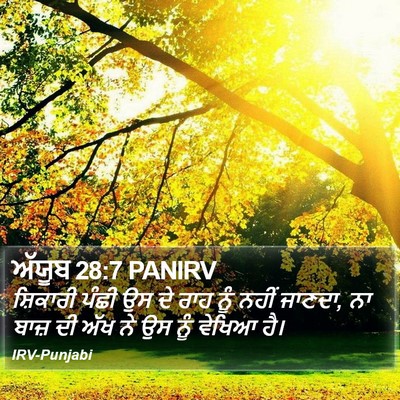 ਅੱਯੂਬ 28:7 PANIRV Bible Verse Image