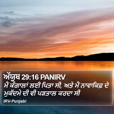 ਅੱਯੂਬ 29:16 PANIRV Bible Verse Image