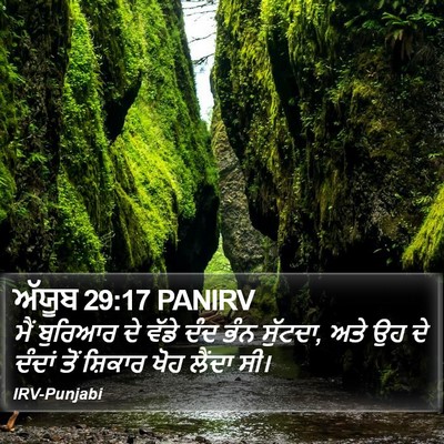 ਅੱਯੂਬ 29:17 PANIRV Bible Verse Image