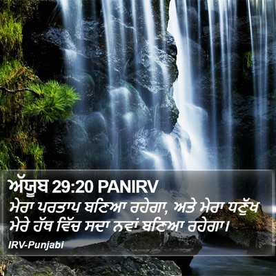 ਅੱਯੂਬ 29:20 PANIRV Bible Verse Image