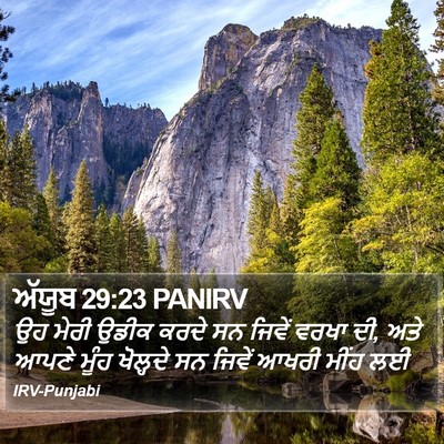 ਅੱਯੂਬ 29:23 PANIRV Bible Verse Image