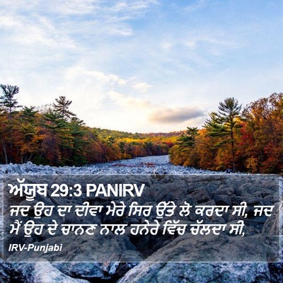 ਅੱਯੂਬ 29:3 PANIRV Bible Verse Image