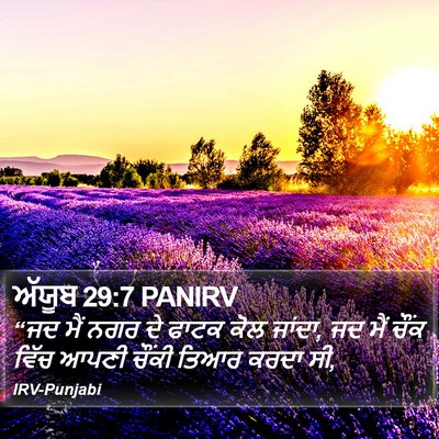 ਅੱਯੂਬ 29:7 PANIRV Bible Verse Image