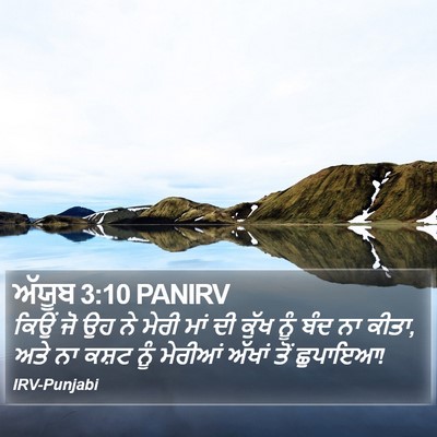 ਅੱਯੂਬ 3:10 PANIRV Bible Verse Image