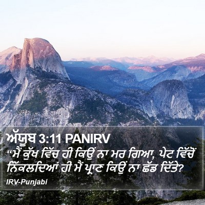 ਅੱਯੂਬ 3:11 PANIRV Bible Verse Image