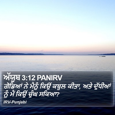 ਅੱਯੂਬ 3:12 PANIRV Bible Verse Image