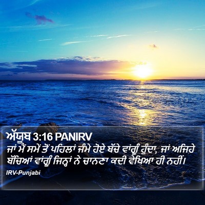 ਅੱਯੂਬ 3:16 PANIRV Bible Verse Image