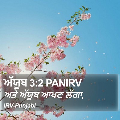 ਅੱਯੂਬ 3:2 PANIRV Bible Verse Image