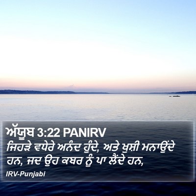 ਅੱਯੂਬ 3:22 PANIRV Bible Verse Image