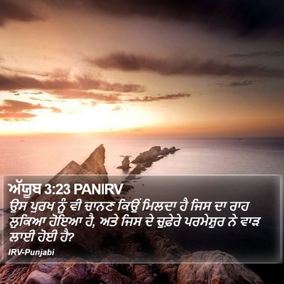 ਅੱਯੂਬ 3:23 PANIRV Bible Verse Image
