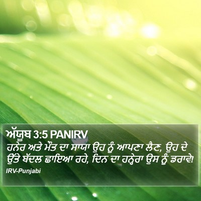 ਅੱਯੂਬ 3:5 PANIRV Bible Verse Image