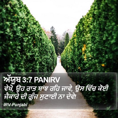 ਅੱਯੂਬ 3:7 PANIRV Bible Verse Image