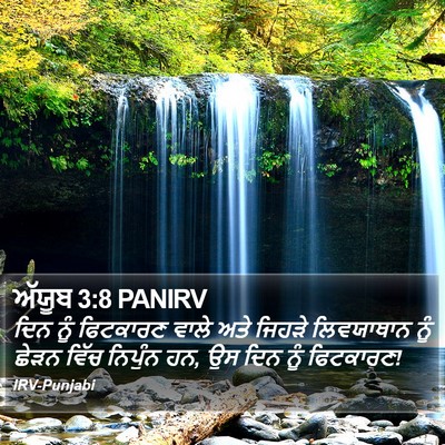 ਅੱਯੂਬ 3:8 PANIRV Bible Verse Image