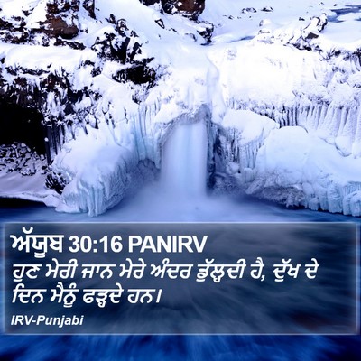 ਅੱਯੂਬ 30:16 PANIRV Bible Verse Image