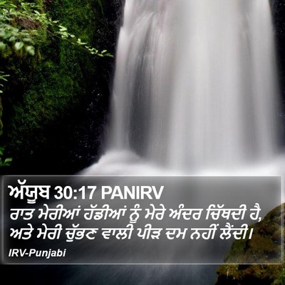 ਅੱਯੂਬ 30:17 PANIRV Bible Verse Image