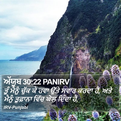 ਅੱਯੂਬ 30:22 PANIRV Bible Verse Image