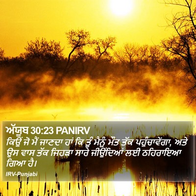 ਅੱਯੂਬ 30:23 PANIRV Bible Verse Image