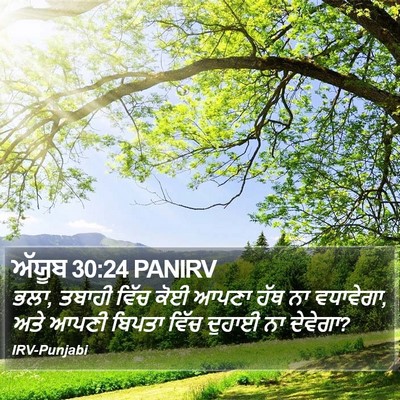 ਅੱਯੂਬ 30:24 PANIRV Bible Verse Image