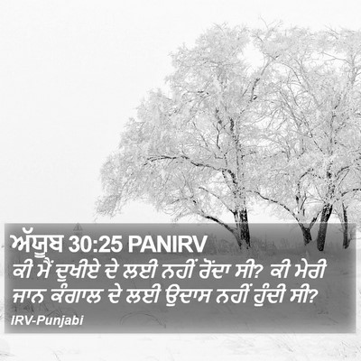 ਅੱਯੂਬ 30:25 PANIRV Bible Verse Image